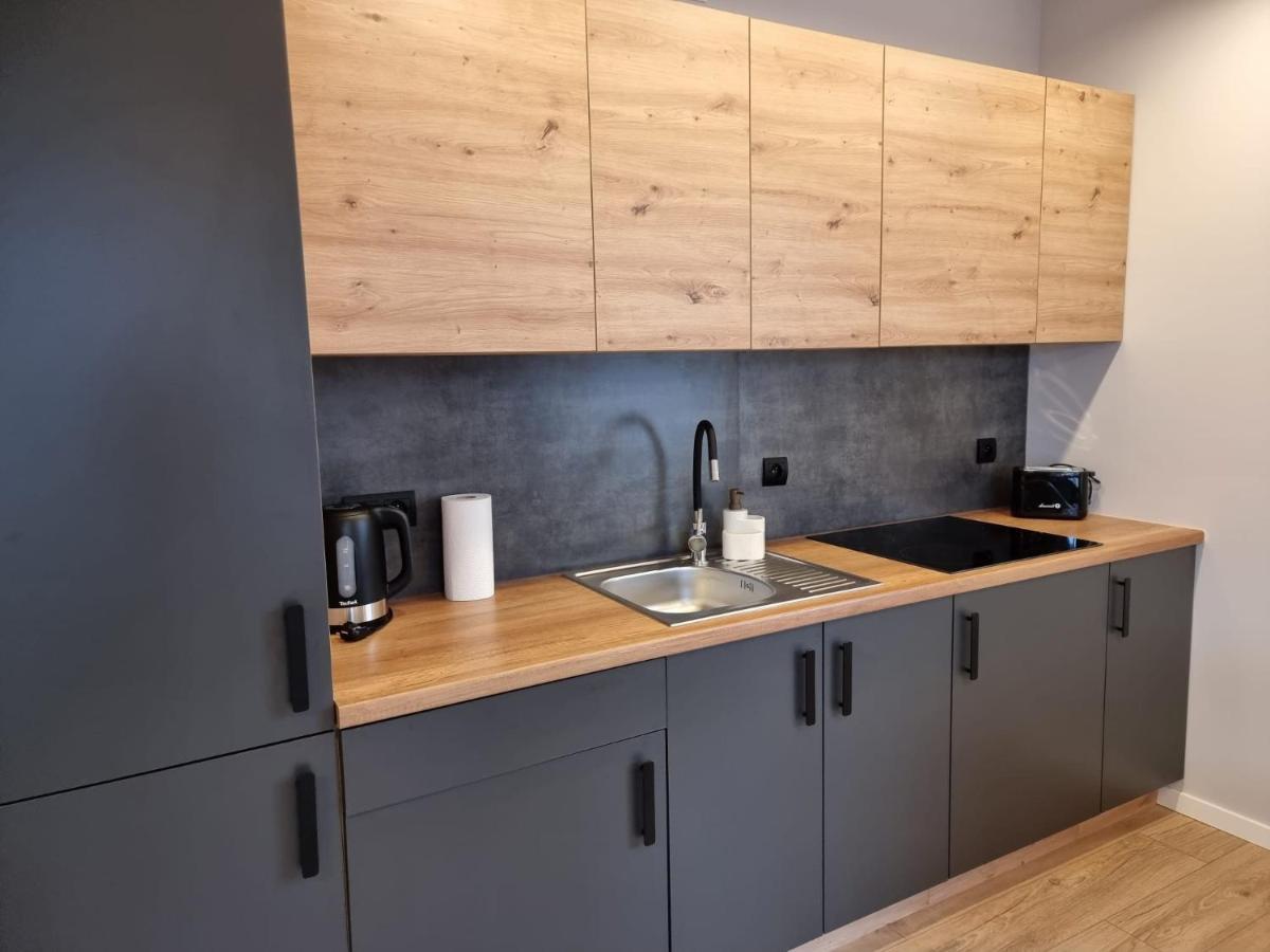 Piekny Apartament Przy Parku, Blisko Dworca, Centrum Radom Kültér fotó